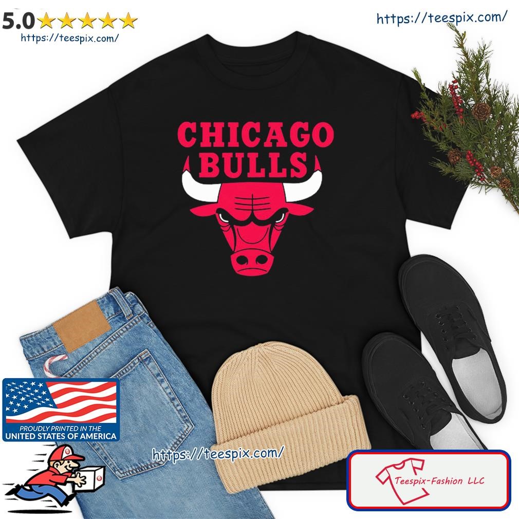 Vintage 90s Chicago Bulls Logo NBA Shirt