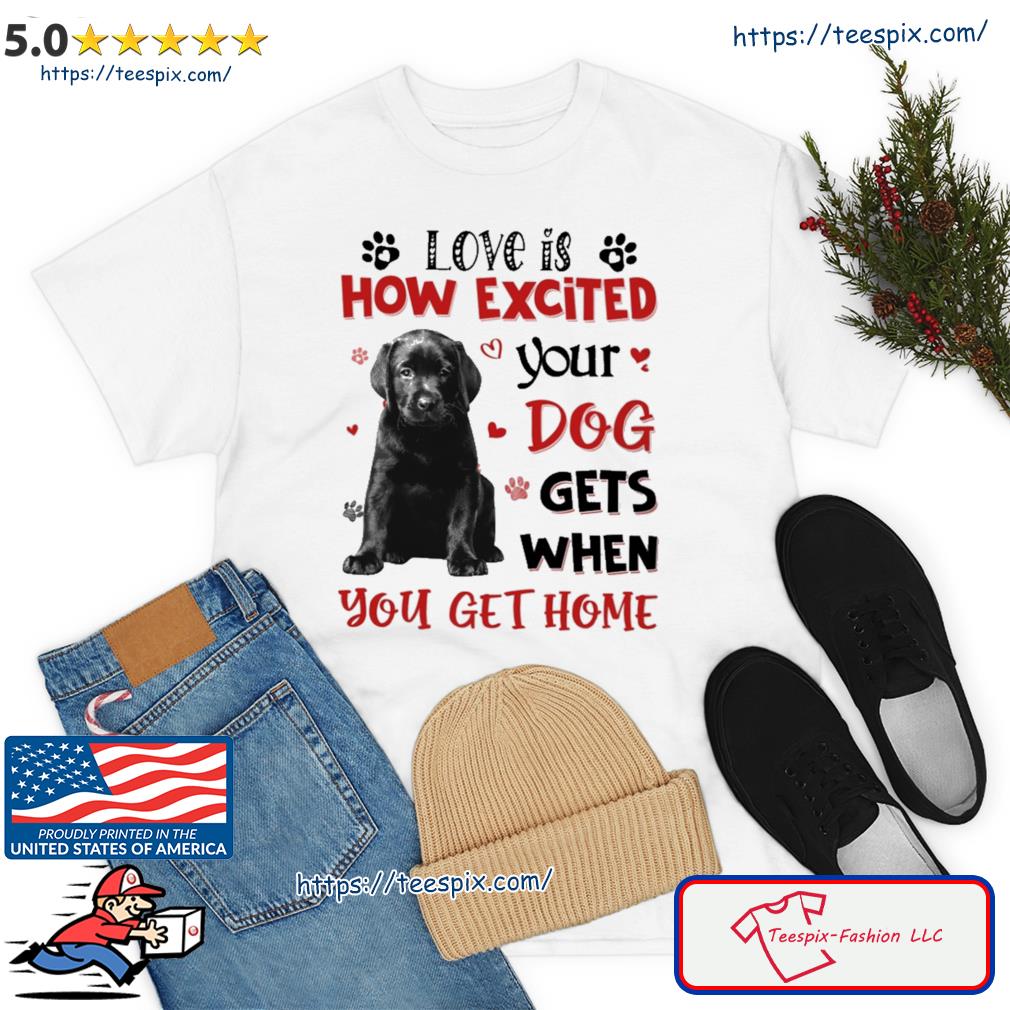 Boxador Love Is How Excited Your Boston Terrier Dog Gets When You Get Home Shirt