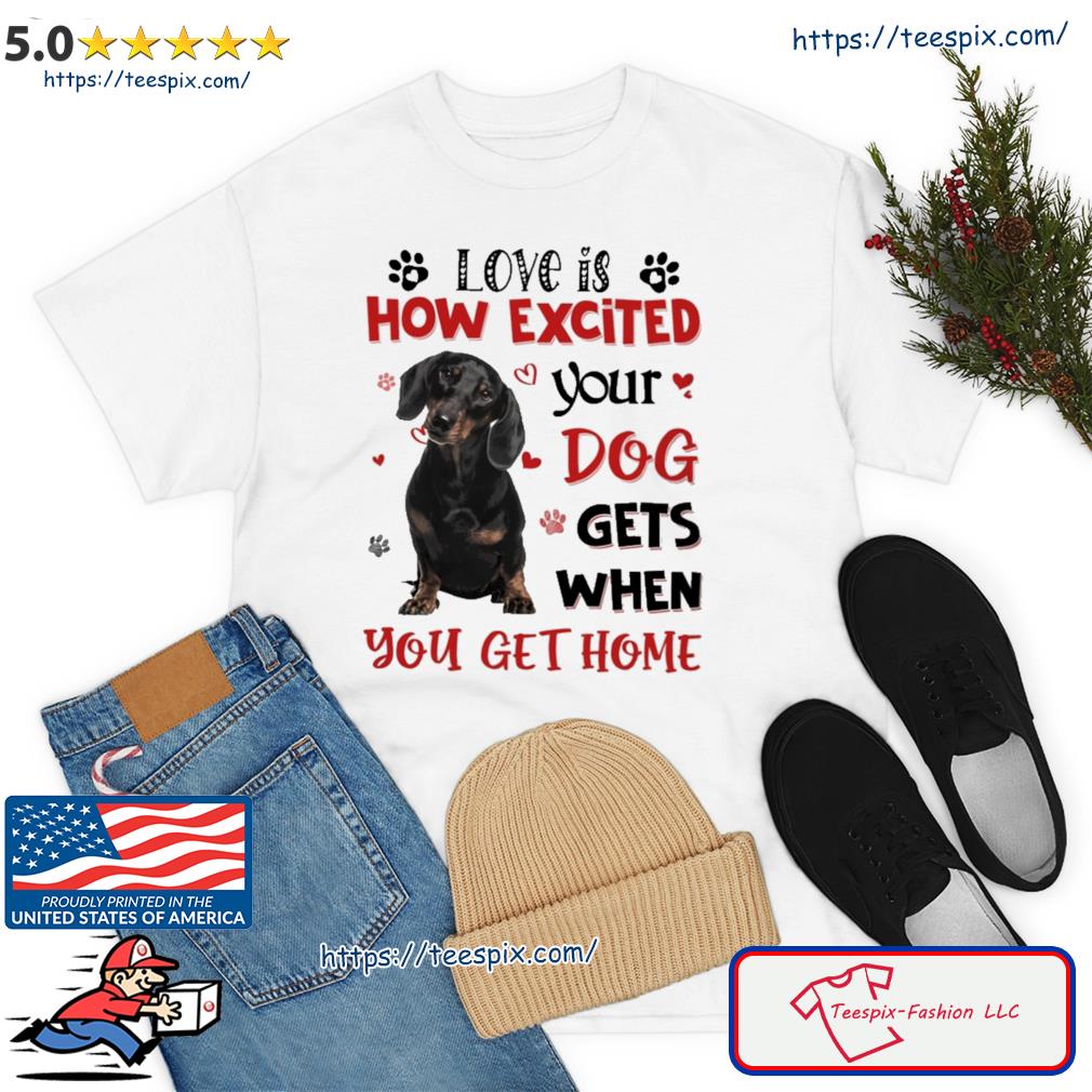 Dachshund Love Is How Excited Your Boston Terrier Dog Gets When You Get Home Shirt
